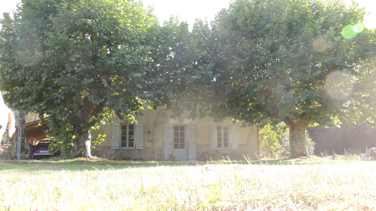 Photo of Outdoor in Belin-Beliet