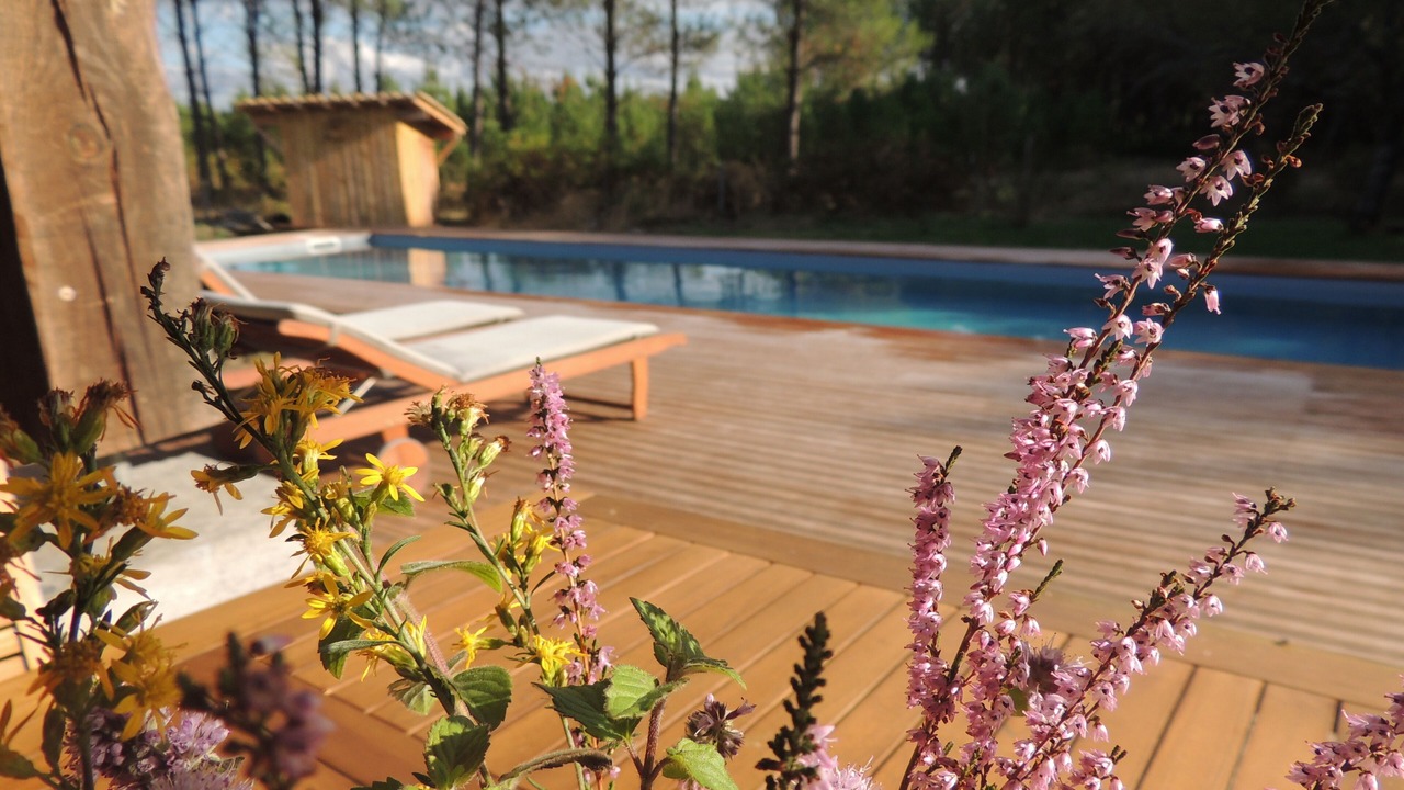 Photo of Outdoor in Belin-Beliet