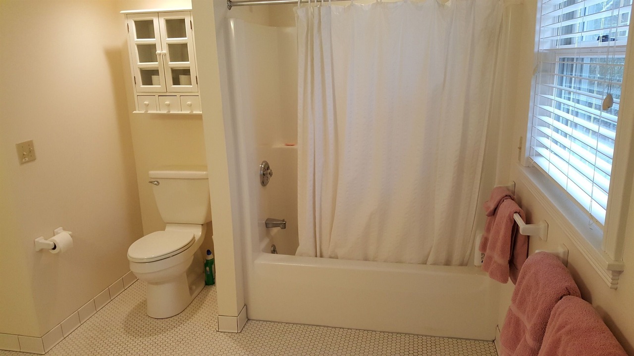 Photo of Bathroom in Arcadia
