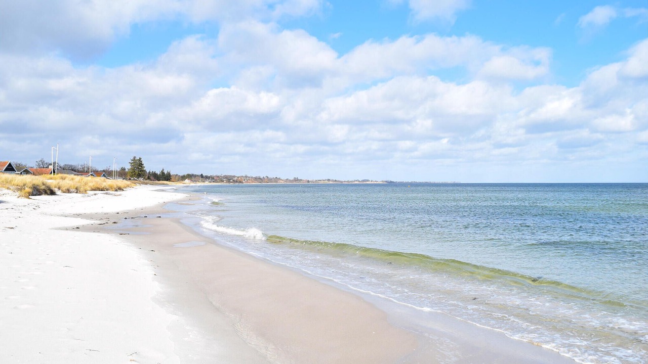 Photo of Others in Saksild Strand