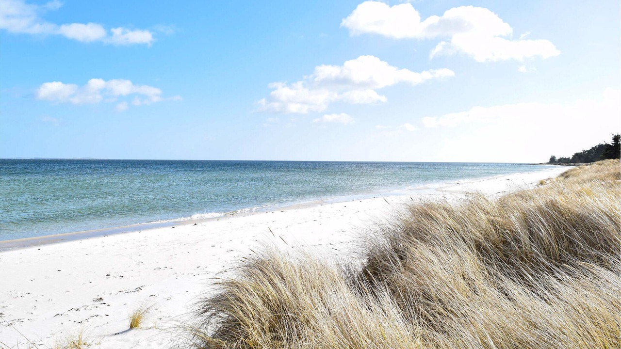 Photo of Others in Saksild Strand