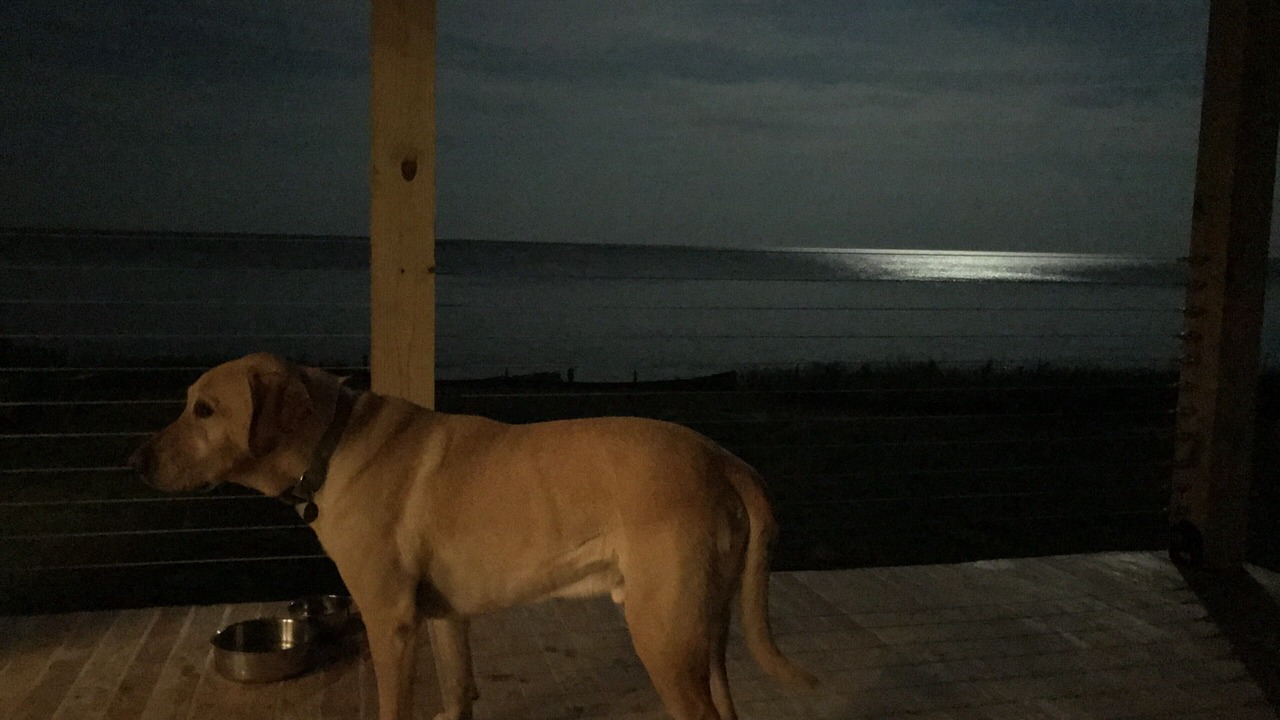 Photo of Outdoor in Reedville