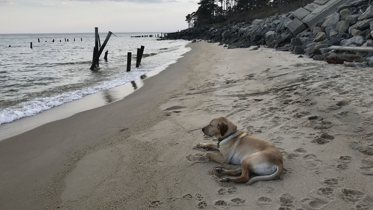 Photo of Others in Reedville