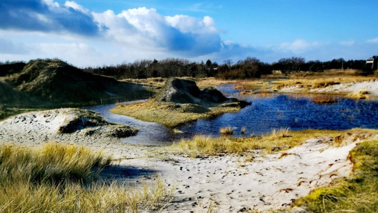 Photo of Others in Øster Melholt