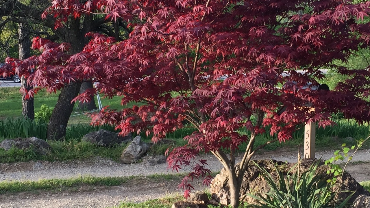 Photo of Outdoor in Eureka Springs
