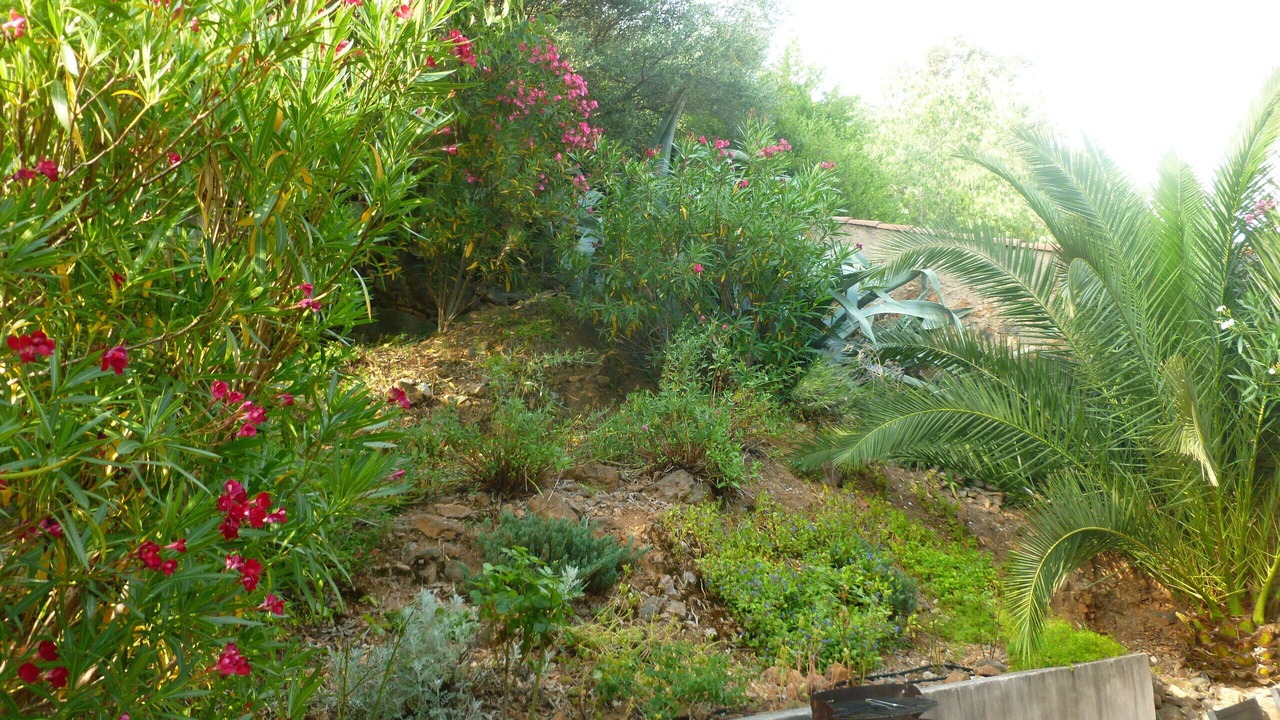 Photo of Outdoor in Roquebrun