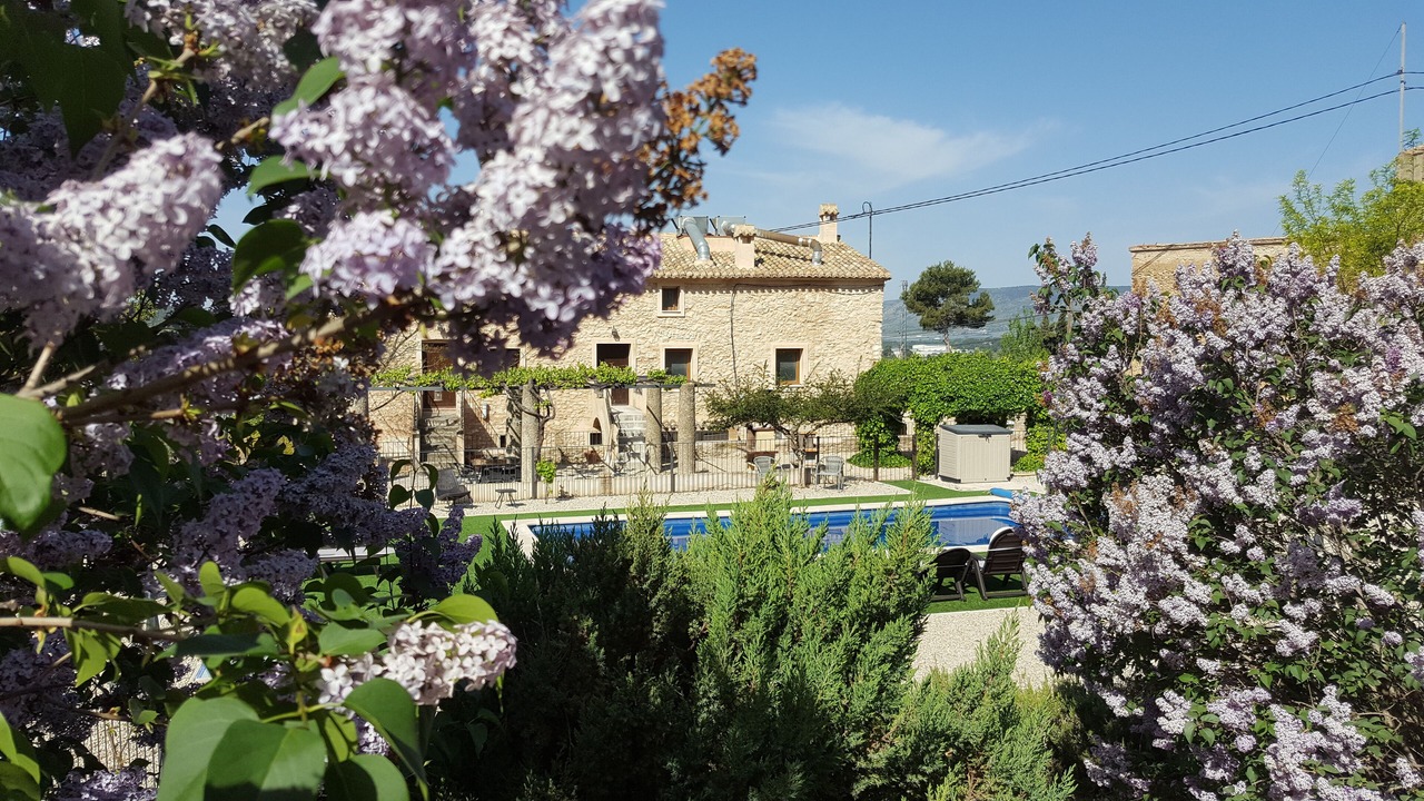 Photo of Outdoor in Banyeres de Mariola