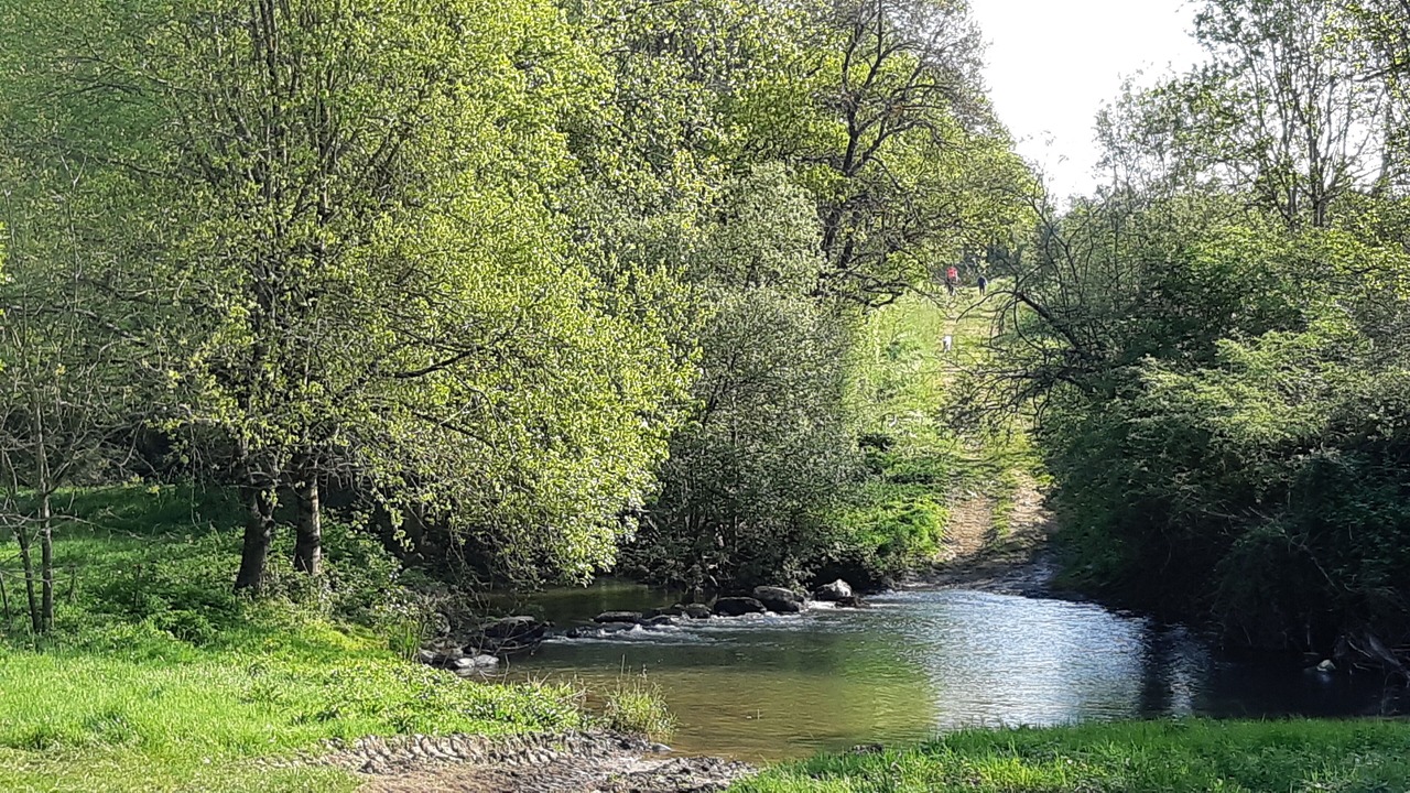 Photo of Outdoor in Saint-Prouant