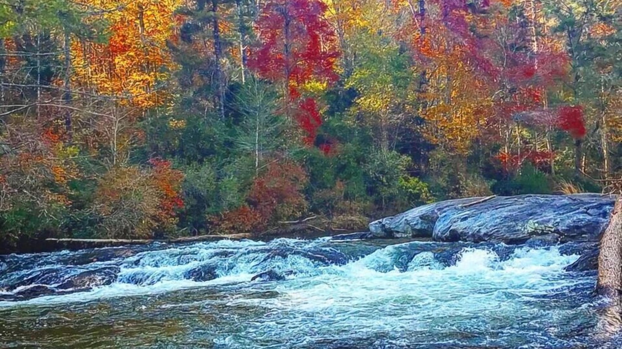 Photo of Others in Walhalla