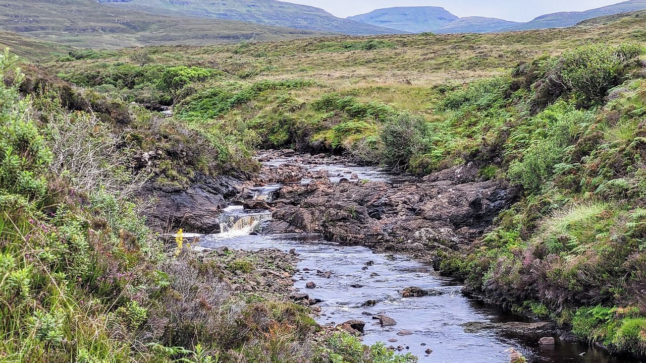 Photo of Others in Colbost