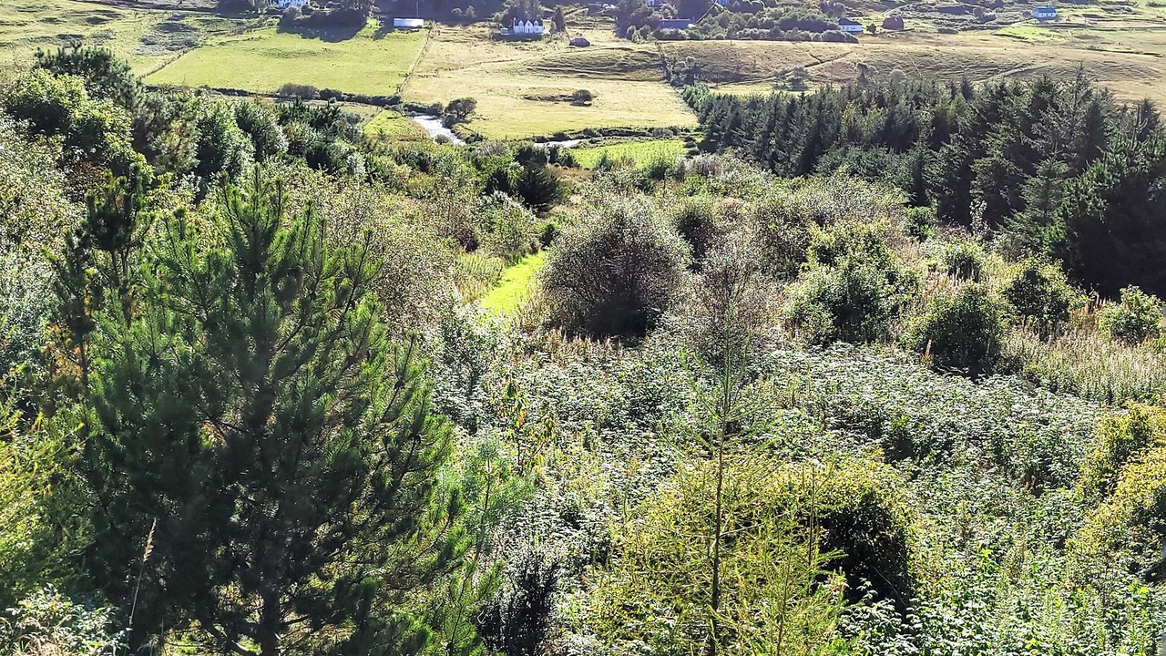 Photo of Outdoor in Colbost