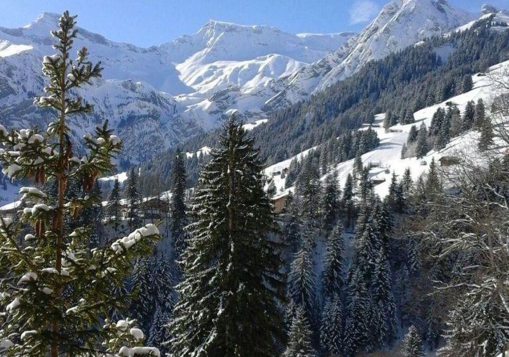 Photo of Others in Adelboden