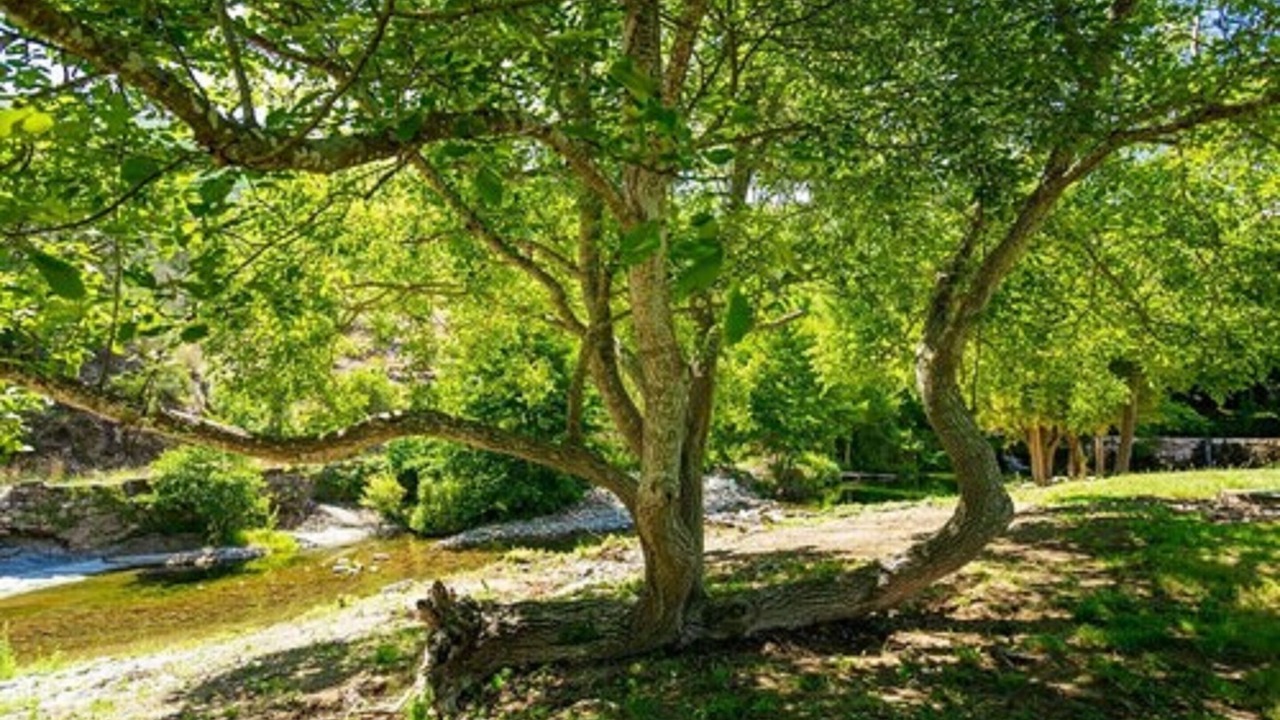 Photo of Outdoor in Saint-Pons-de-Thomieres