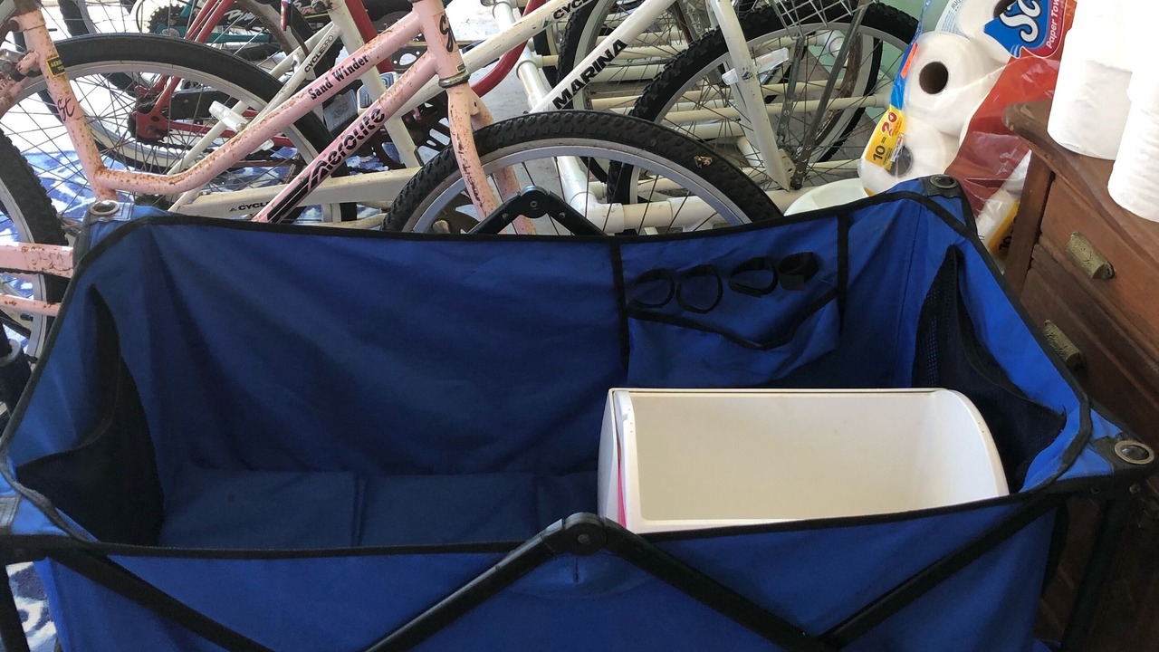 Photo of Others in North Cape May