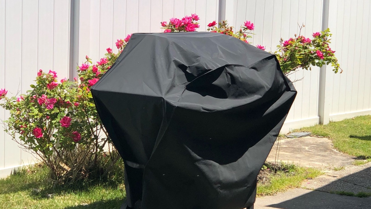 Photo of Outdoor in North Cape May