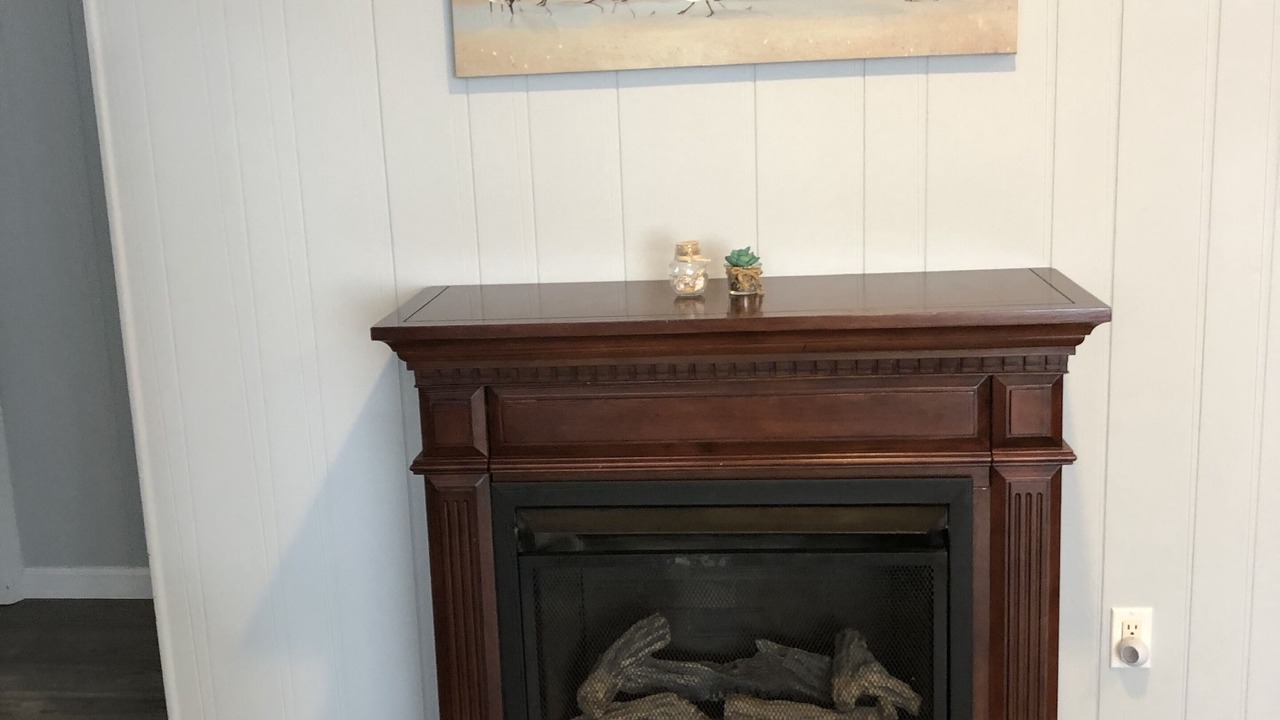 Photo of Others in North Cape May