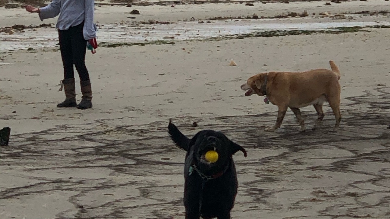 Photo of Others in North Cape May