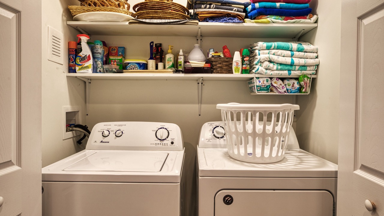 Photo of Others in North Cape May