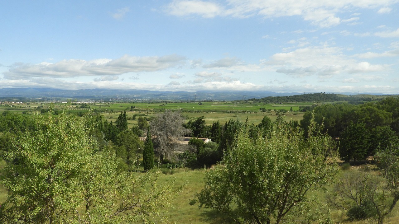 Photo of Others in Escales