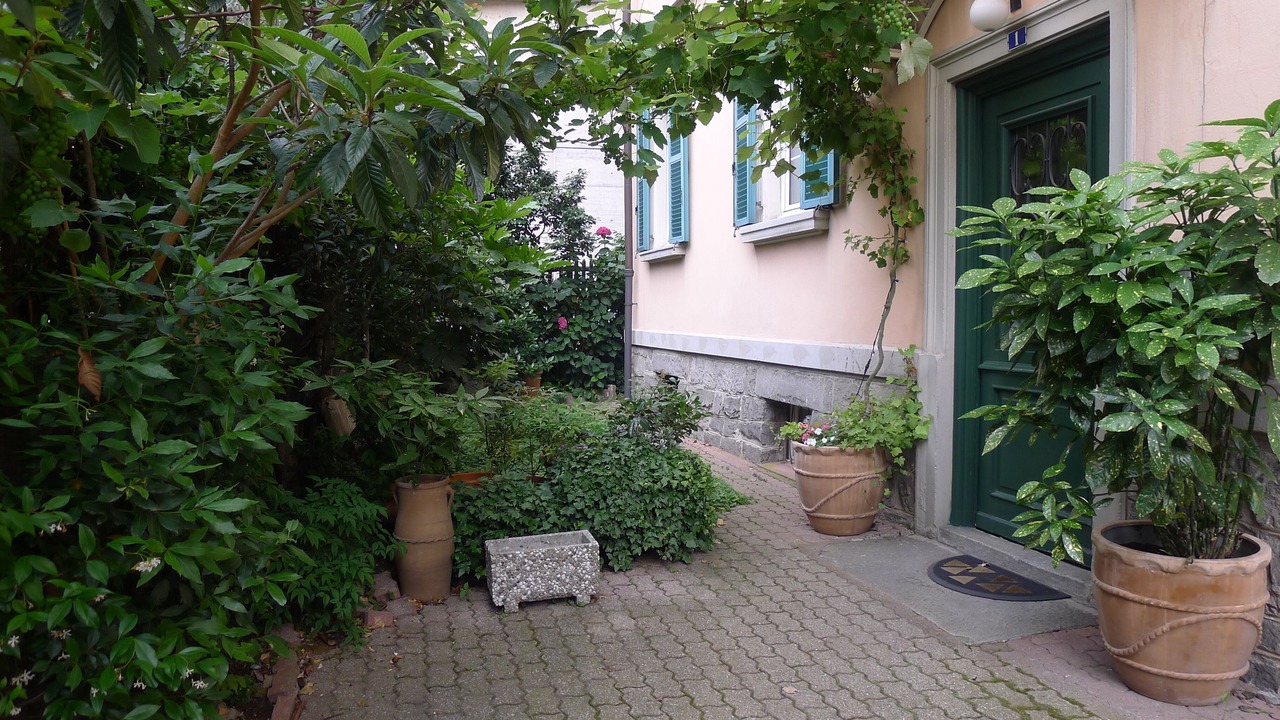 Photo of Outdoor in Bellinzona