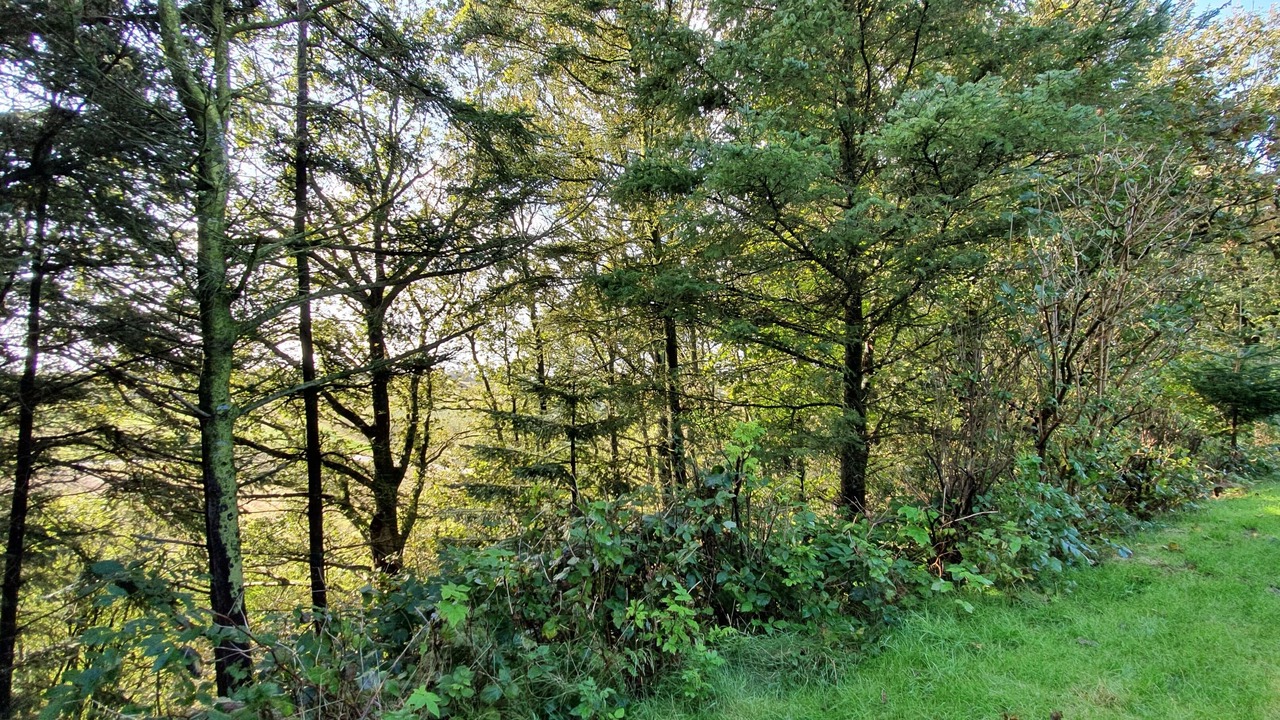 Photo of Outdoor in Nykobing Mors