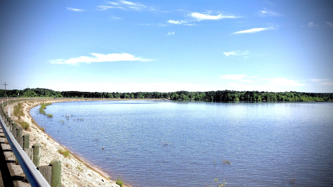 Photo of Others in Hemphill