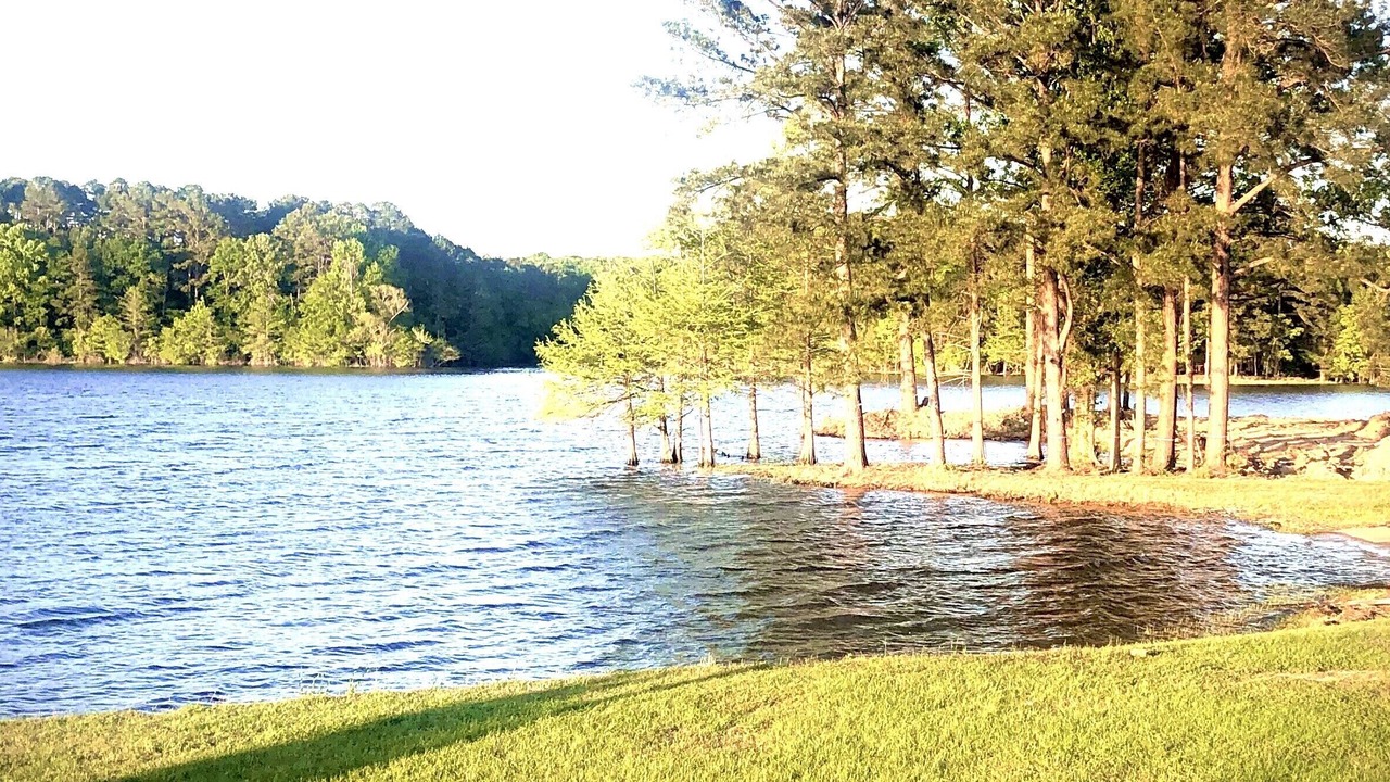 Photo of Others in Hemphill