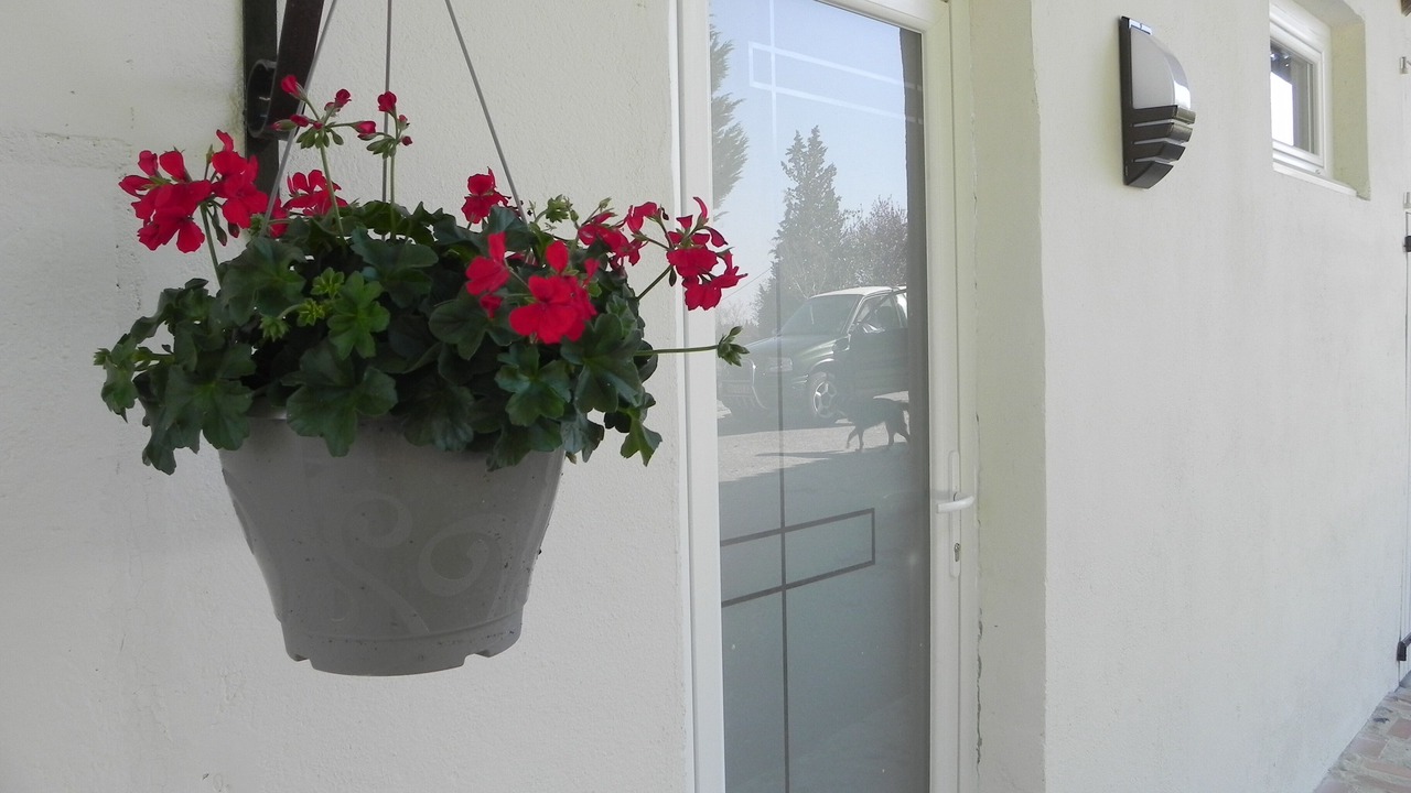 Photo of Outdoor in Saint-Frajou