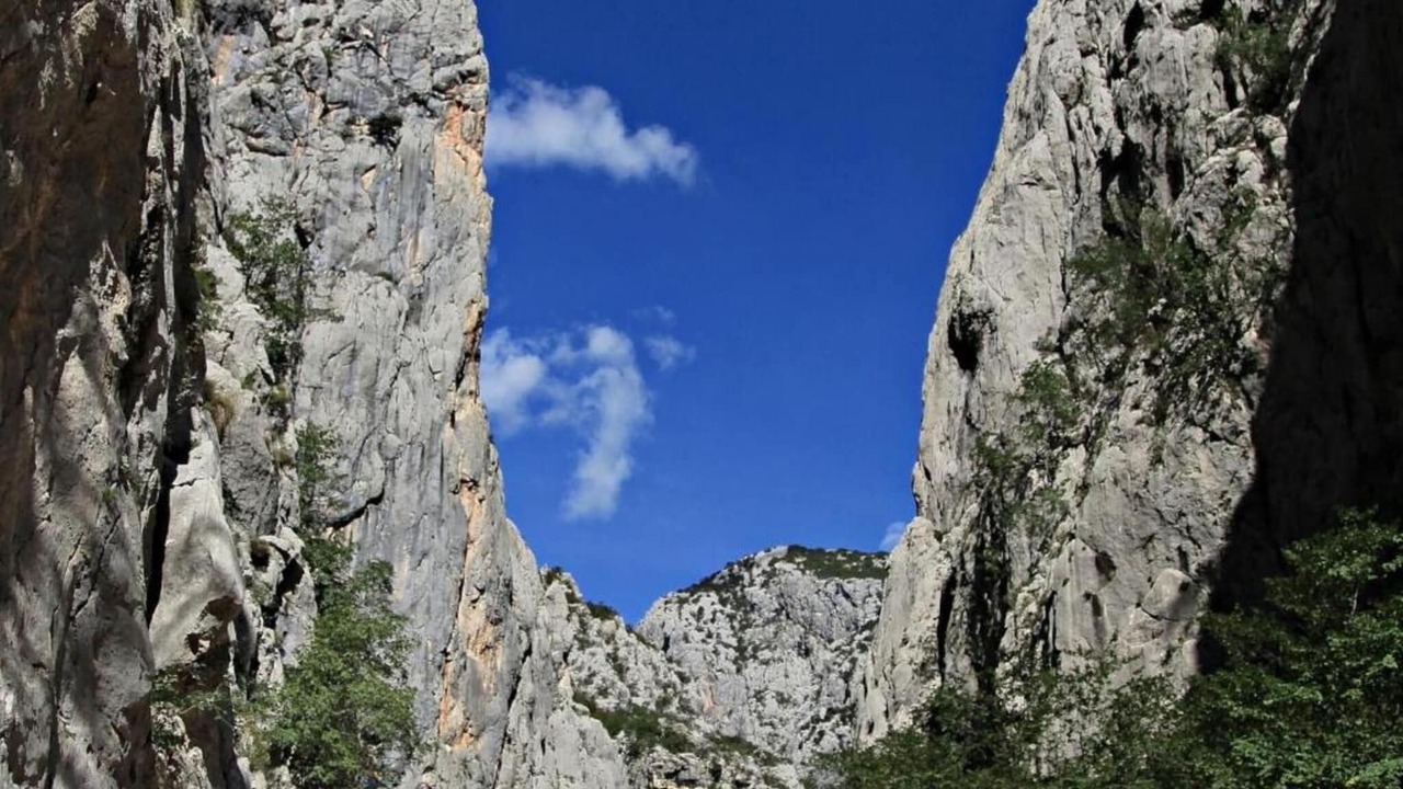 Photo of Others in Seline