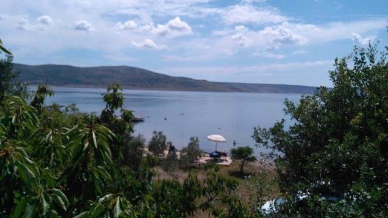 Photo of Others in Seline