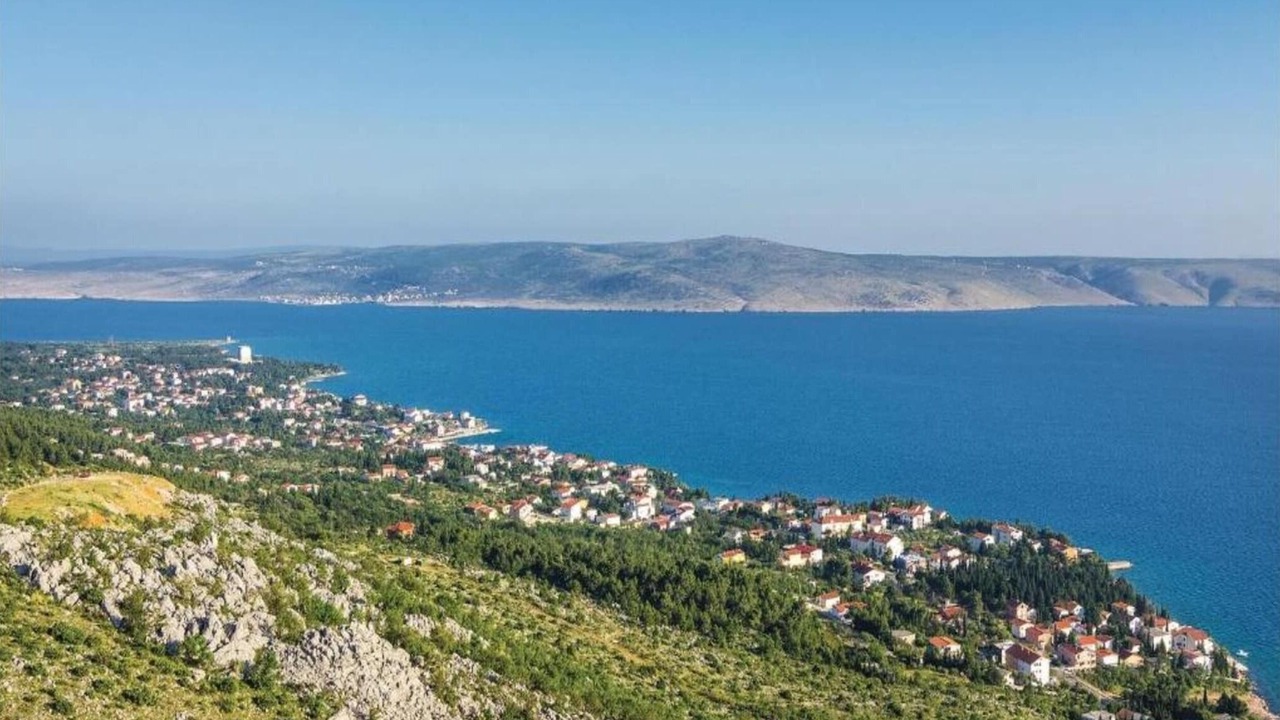 Photo of Others in Seline
