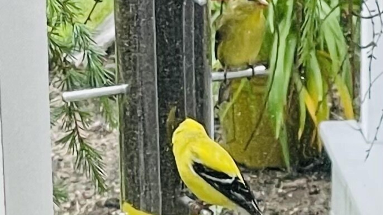 Photo of Others in Westhampton Beach