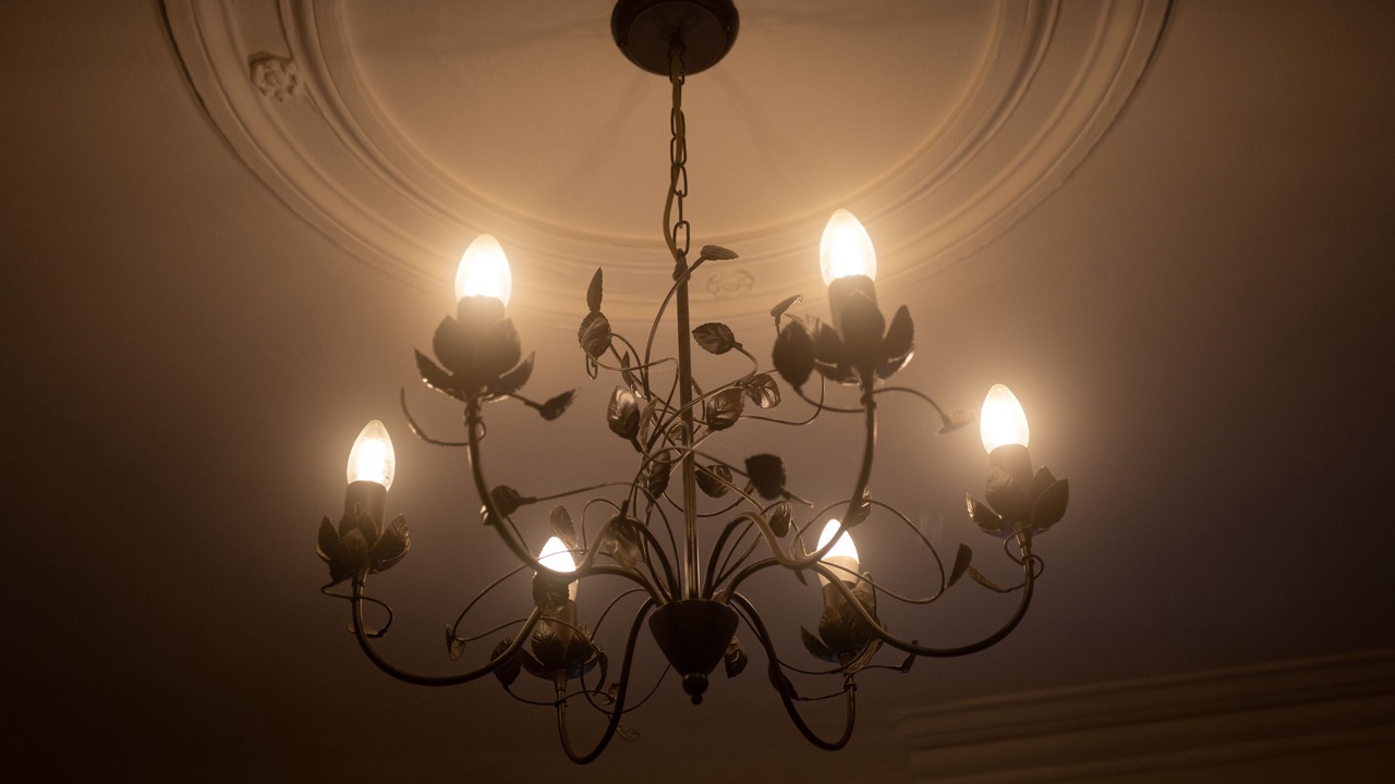 Photo of Others in Ayr