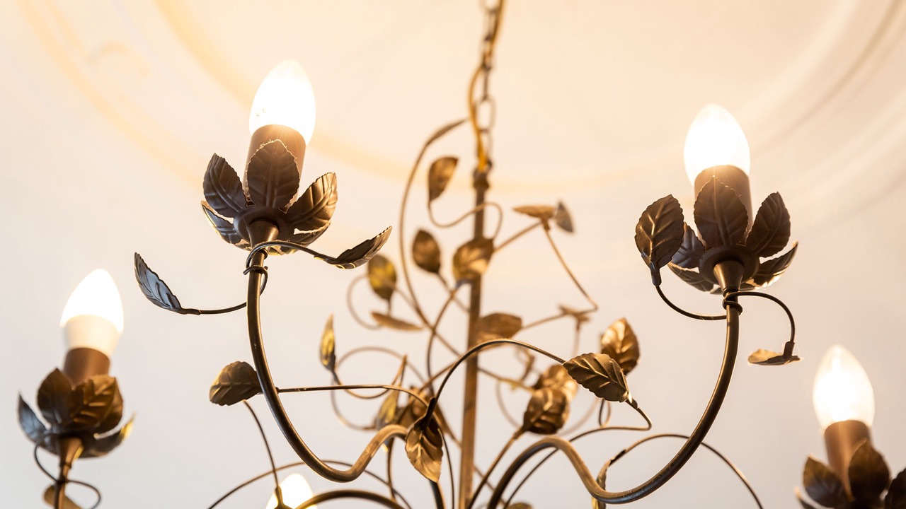 Photo of Others in Ayr