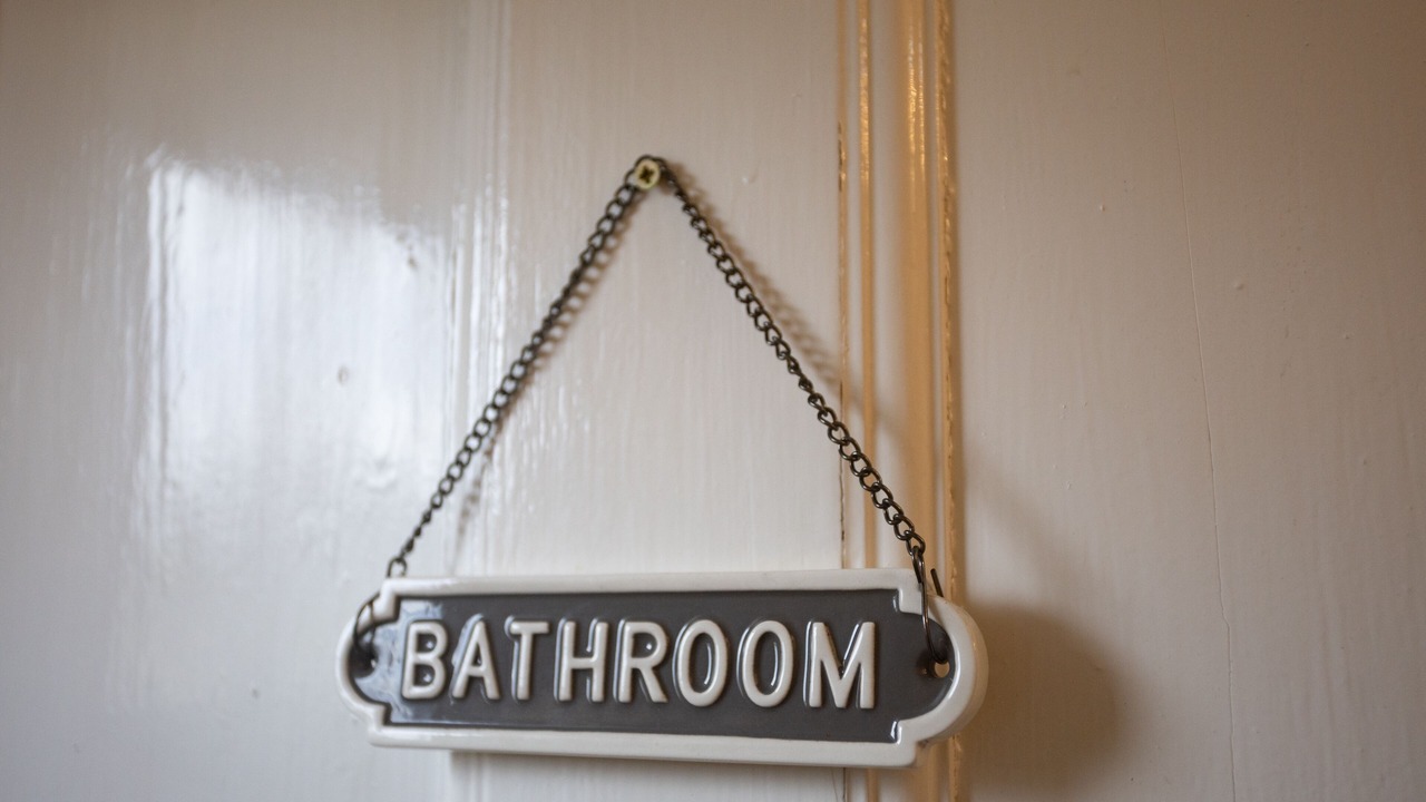 Photo of Others in Ayr