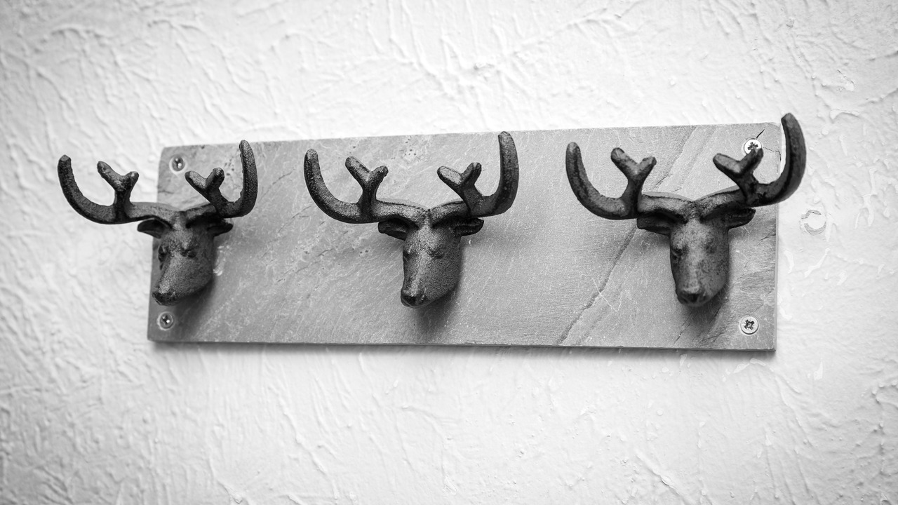 Photo of Others in Ayr