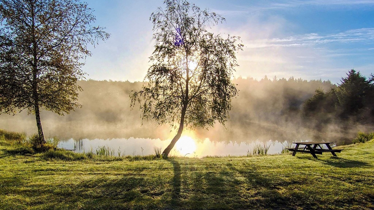 Photo of Outdoor in Arrild Ferieby