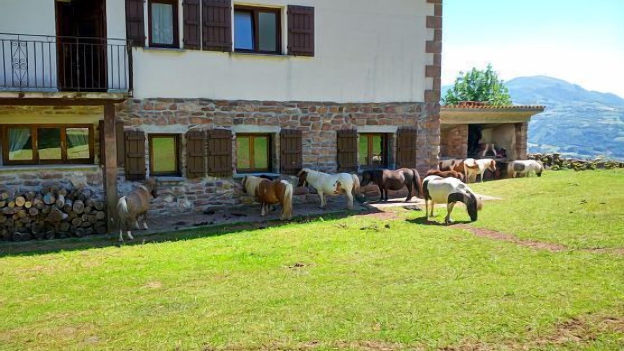Photo of Outdoor in Elbete