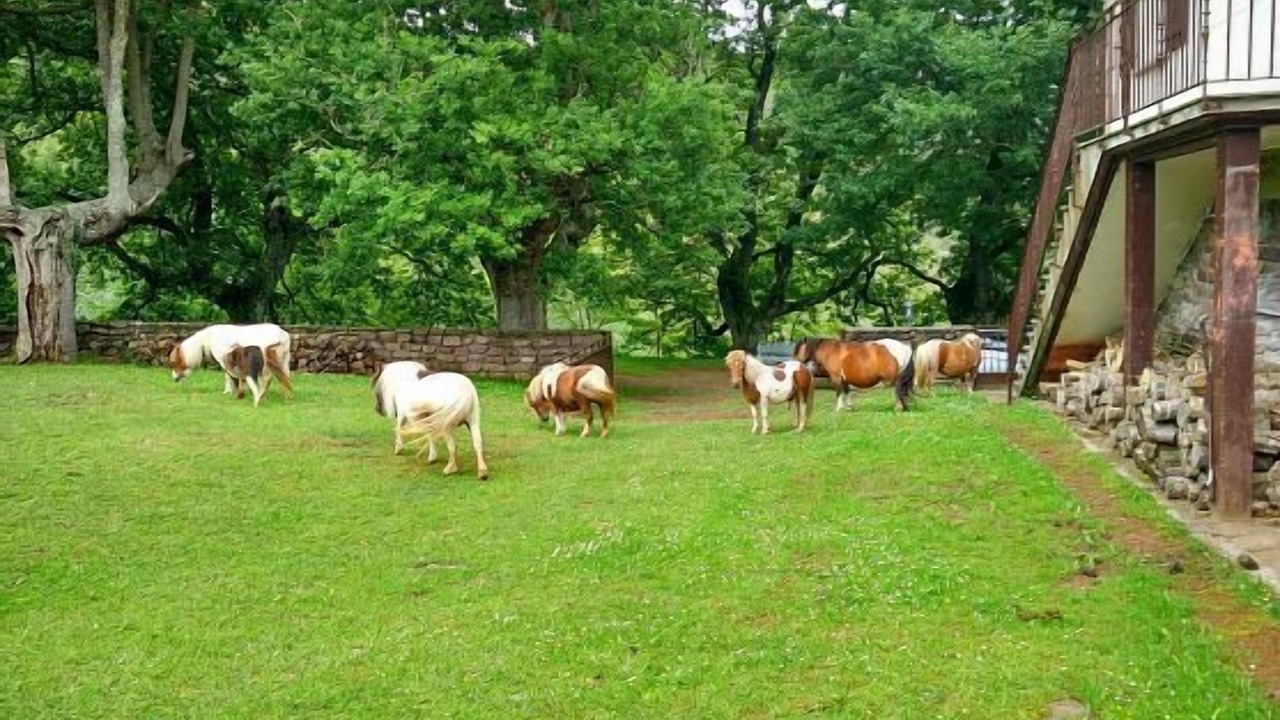 Photo of Outdoor in Elbete