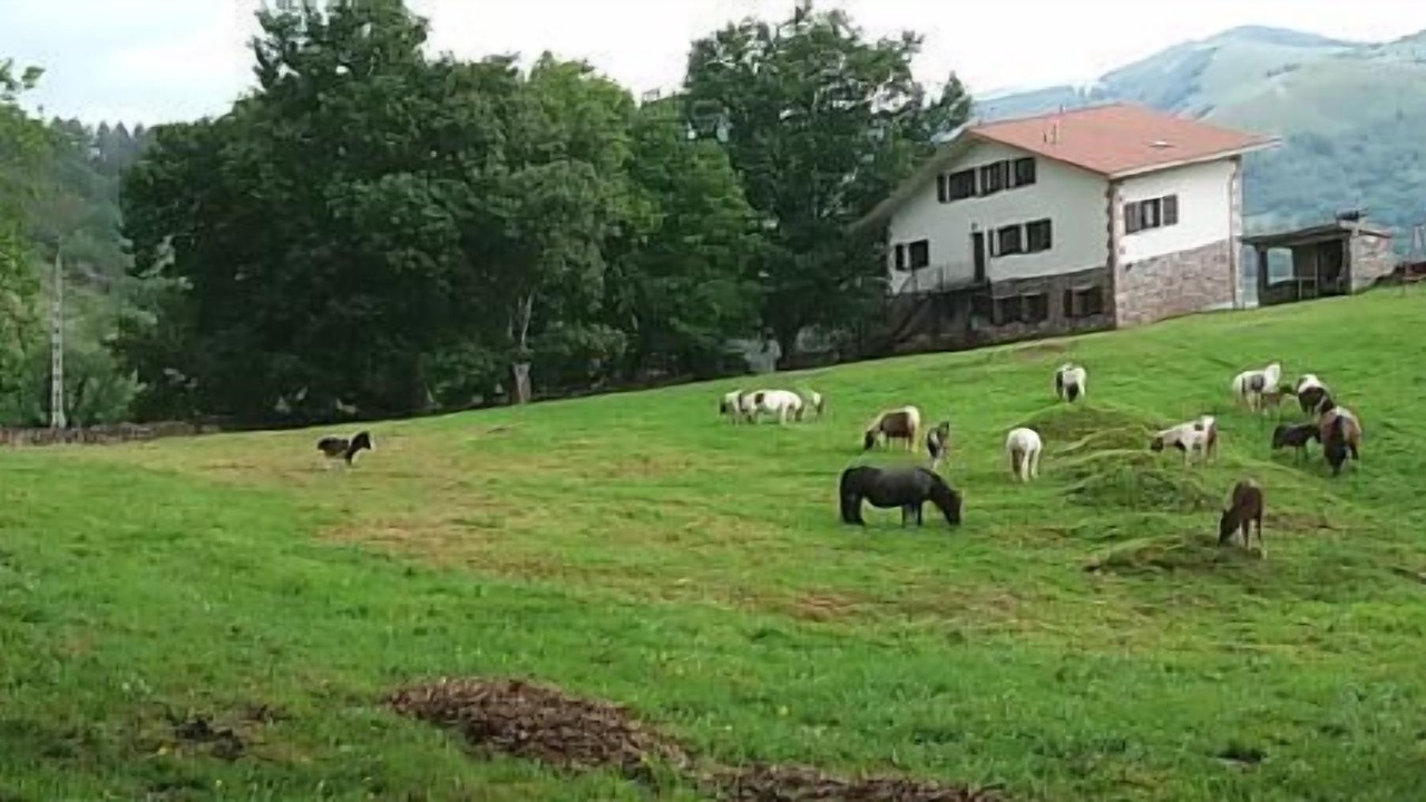 Photo of Outdoor in Elbete