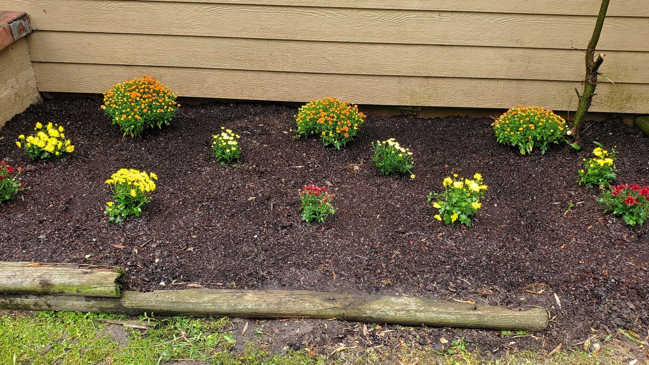 Photo of Outdoor in West Monroe