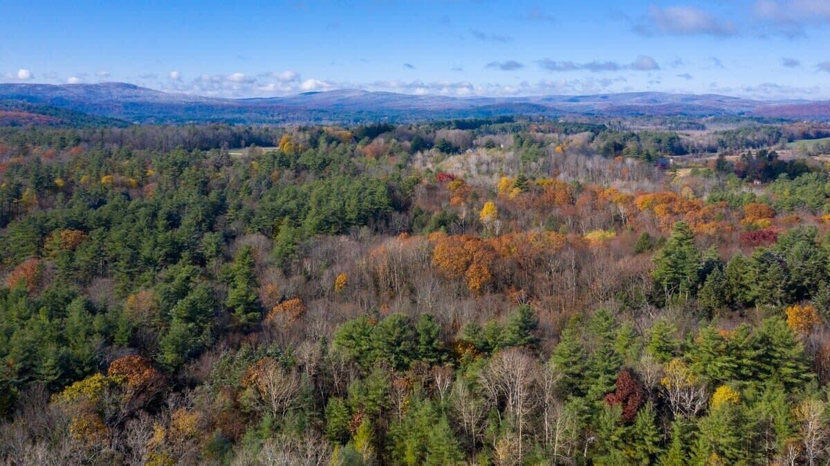 Photo of Outdoor in Lee