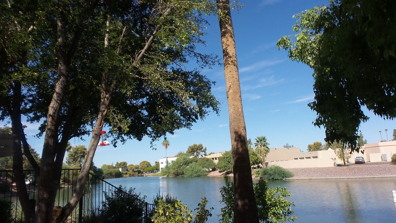 Photo of Others in Dobson Ranch