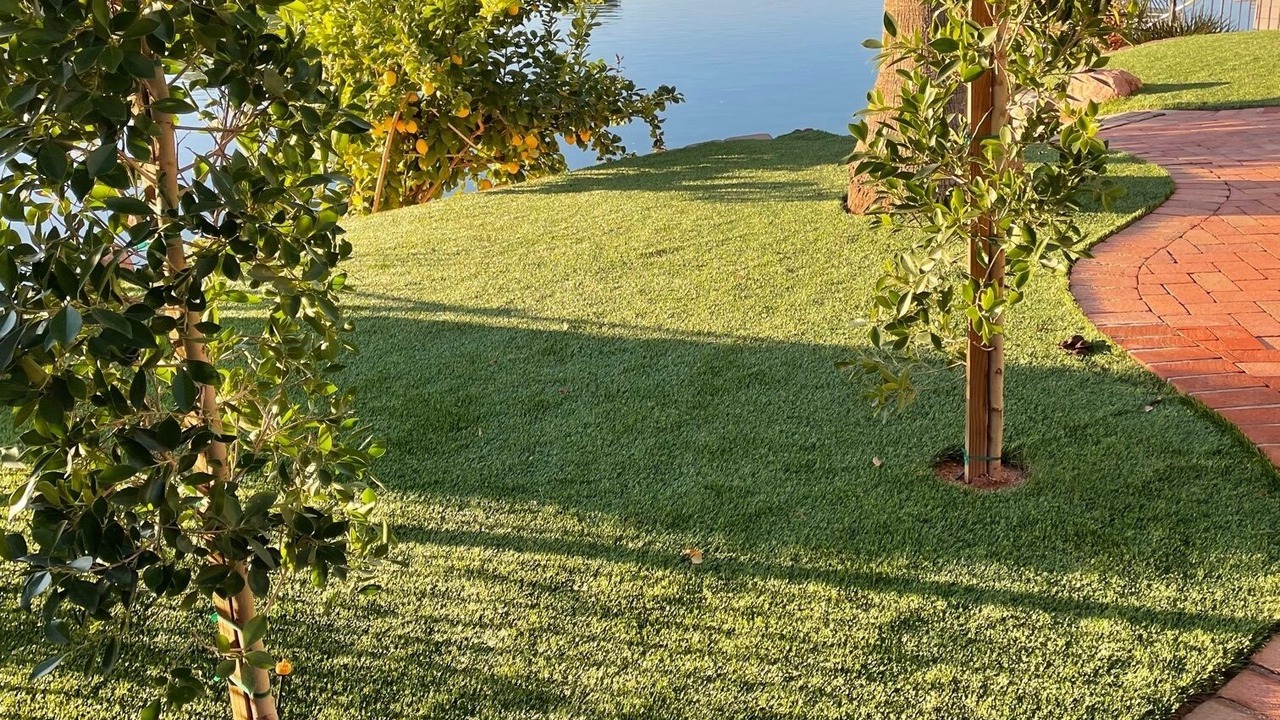 Photo of Outdoor in Dobson Ranch