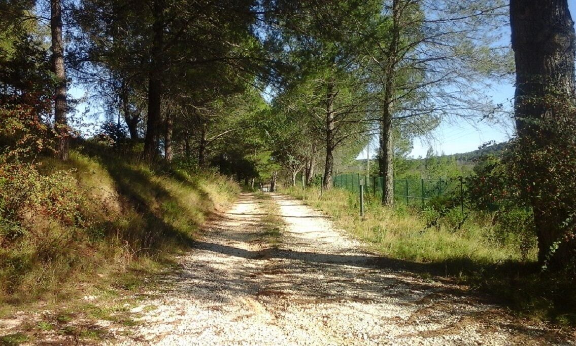 Photo of Outdoor in Grabels
