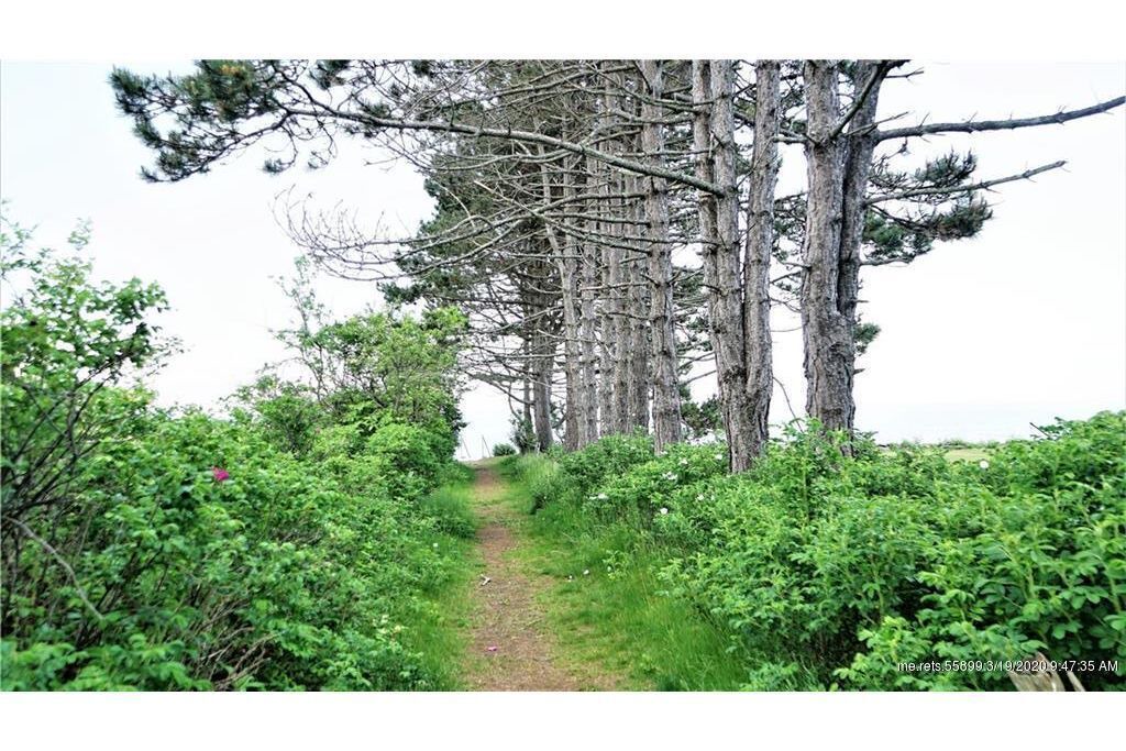 Photo of Others in Cape Elizabeth