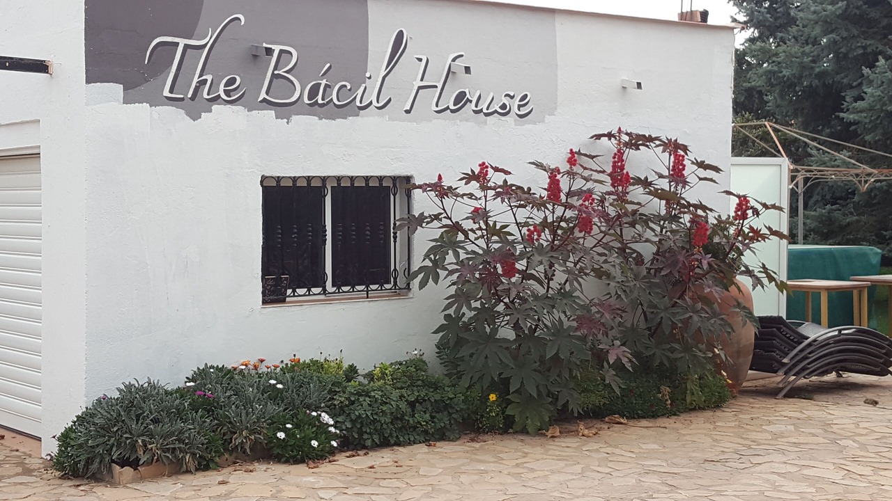 Photo of Outdoor in Ayora