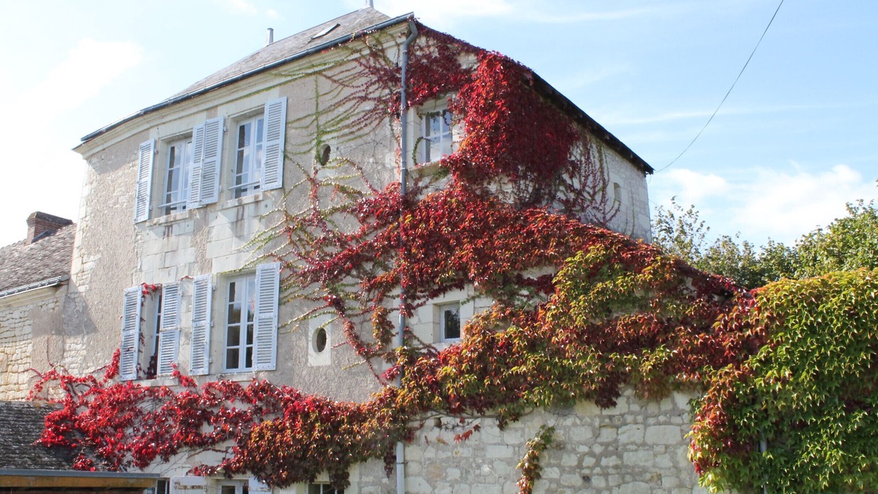 Photo of Outdoor in La Roche-Posay