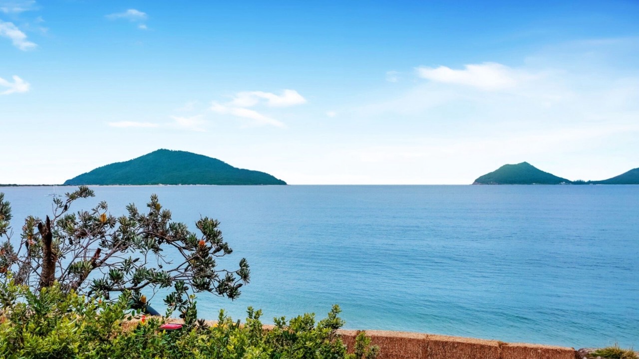 Photo of Others in Hawks Nest