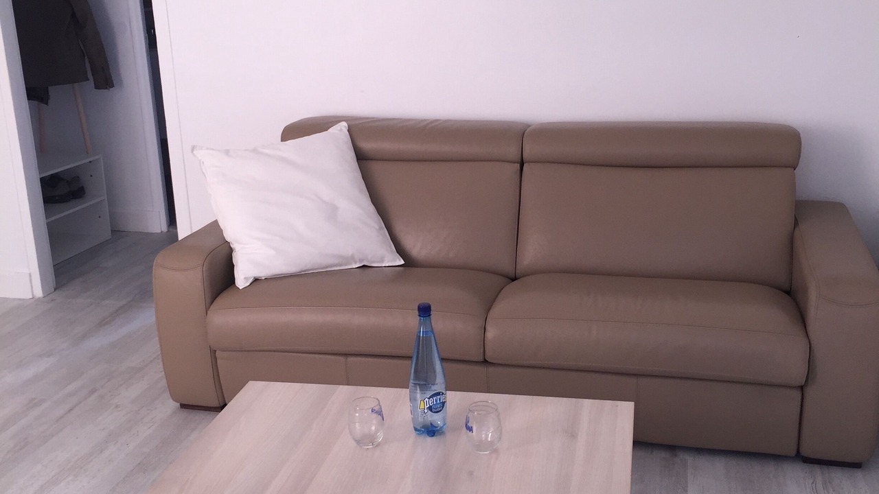 Photo of Livingroom in 15th Arrondissement